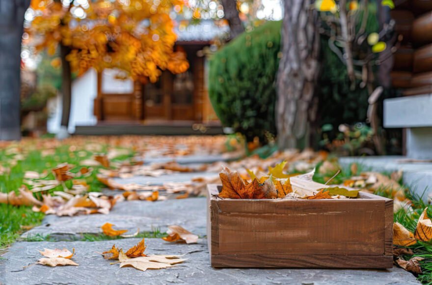 Box of autumn leaves on a stone path symbolizing grief as a natural season of life